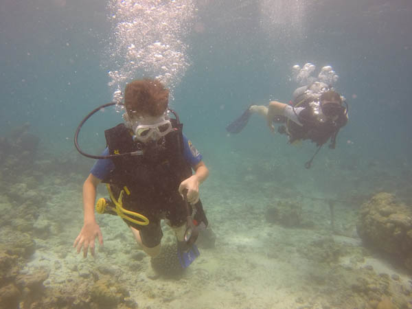 News - Sergey and Alexey are diving on Irufushi
