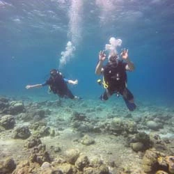 Learn to scuba dive from the house reef